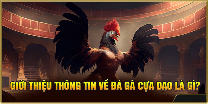 Cá Cược Đá Gà Cựa Dao: Tổng Hợp Thông Tin Từ A - Z 2 Hình thức cá cược đá gà cựa dao mới lạ, hấp dẫn