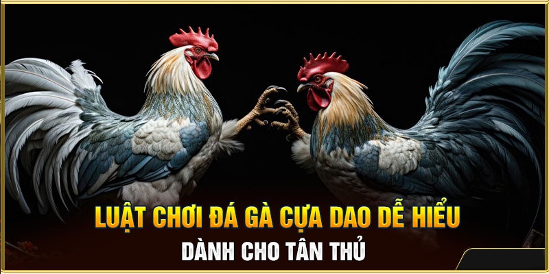 Cá Cược Đá Gà Cựa Dao: Tổng Hợp Thông Tin Từ A - Z 3 Tìm hiểu về luật chơi và cách phân định thắng thua