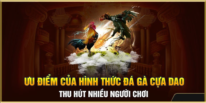 Cá Cược Đá Gà Cựa Dao: Tổng Hợp Thông Tin Từ A - Z 4 Ưu điểm vượt trội của hình thức đá gà cựa dao