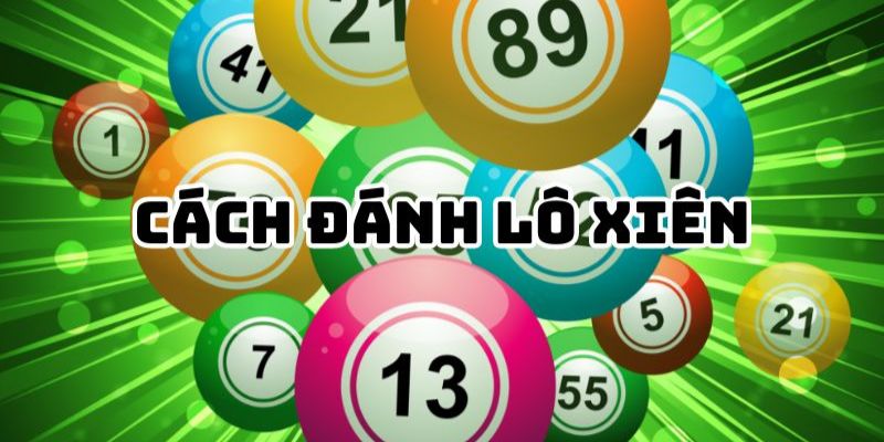 Hướng dẫn cách nuôi lô xiên chuẩn xác như cao thủ 2024 4 Cách nuôi lô xiên theo lão làng