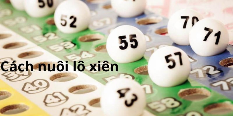 Hướng dẫn cách nuôi lô xiên chuẩn xác như cao thủ 2024 6 Đánh lô theo cặp số