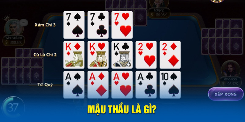 Mậu Thầu Là Gì Cùng Thông Tin Chi Tiết Cho Tân Thủ 2 Mậu thầu là gì?